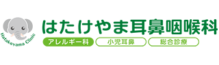 はたけやま耳鼻咽喉科 アレルギー科